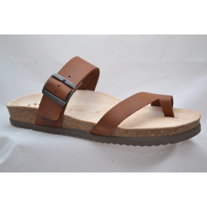 DOUGLAS-CHESTNUT chestnut