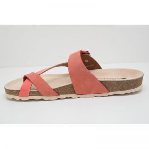 NALIA -CO coral