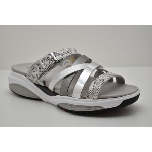 RINIA-30301.5.901-H silver