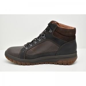 PITT dark brown