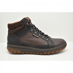 PITT dark brown