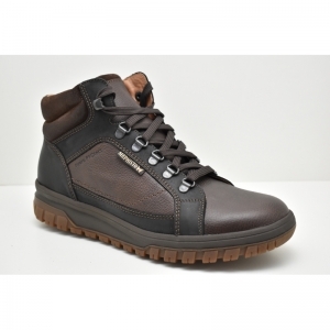 PITT dark brown