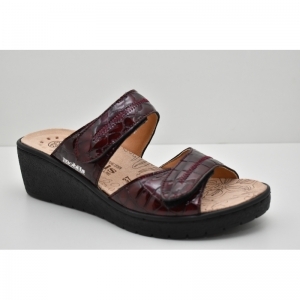 PAULA VERNIS CROC wine