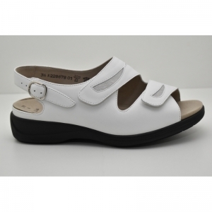 LIA-73113 wit