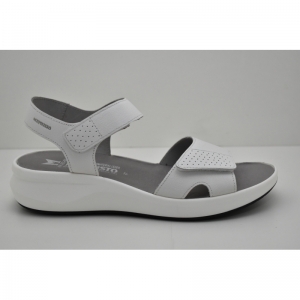 TANY  white