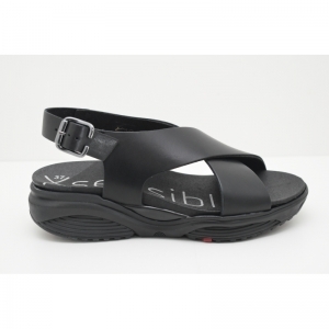 CORFU black