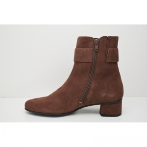 SIENA-H chestnut