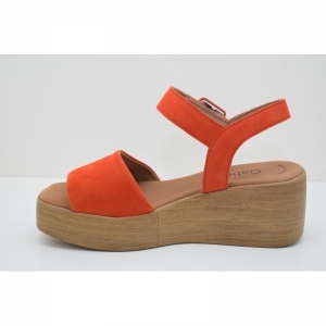 44.531.13 oranje