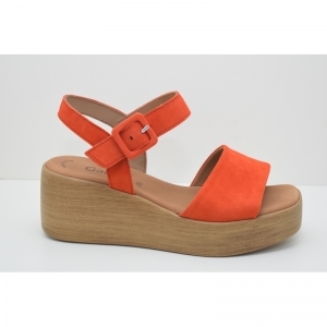 44.531.13 oranje