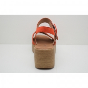 44.531.13 oranje