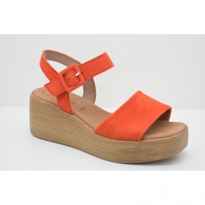 44.531.13 oranje