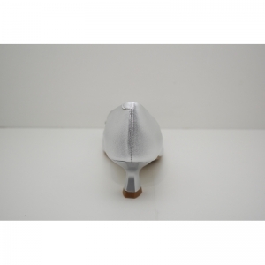 ZN116 zilver
