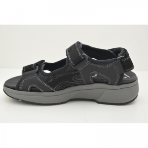 TIMOR black