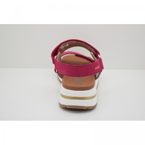 JEANIE VELCALF fuchsia