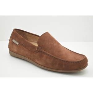 ALGORAS VELOURS brown