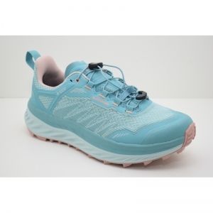 FORTUX GTX WS artic/rose