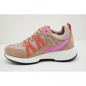 BODO camel combi