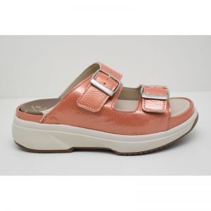 HAWAI coral