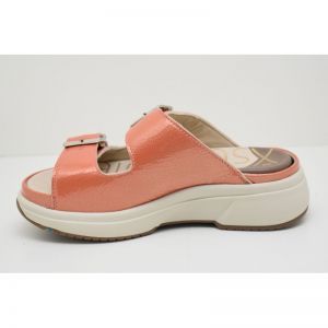 HAWAI coral