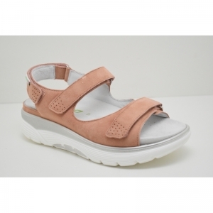 NORINE peach