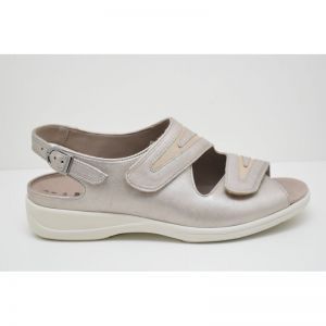 LIA-73043-30685 champ/savanna
