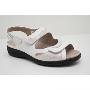 LIA-73094-10166 wit