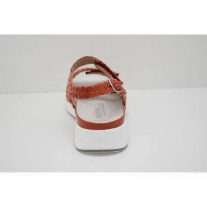 HANNAH-75034-50276 peracola