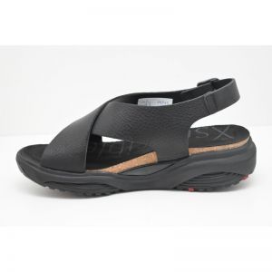 CORFU black