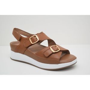 260426 cognac
