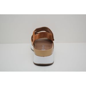 260423-10 cognac