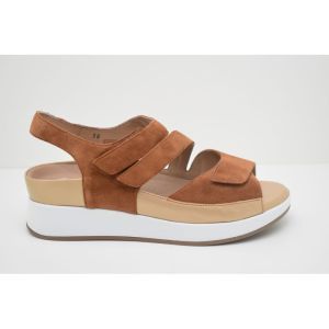 260423-10 cognac