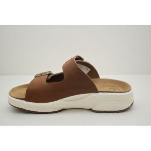 LOTUS cognac