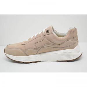 GOLDEN GATE MEN  taupe