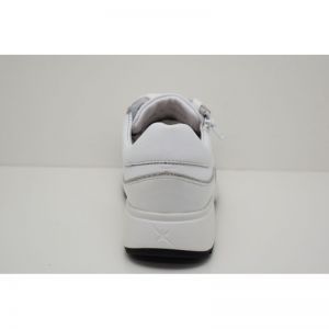 LIMA white