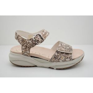 SKALA sand combi