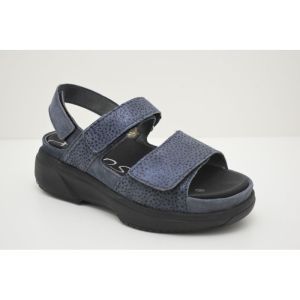 ARUBA denim fantasy