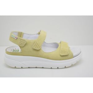 NORINE yellow