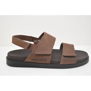 GAUTIER  dark brown