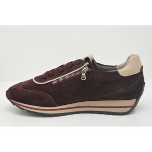 DORY amarone/sand