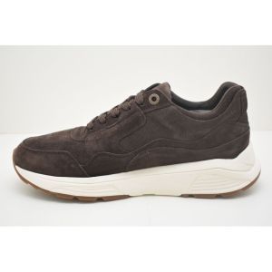 GOLDEN GATE MEN dark brown