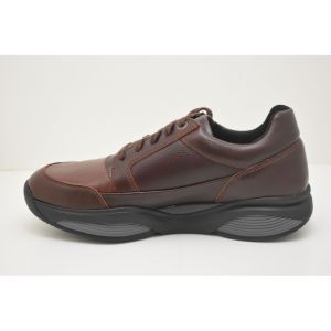 SWX6 cognac