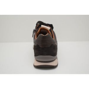 6002.01.006 bruin