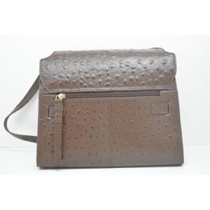 BOS005 bruin